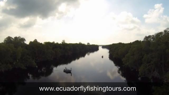 Fly Fishing Mexico - Tarpon, Snook and Jacks