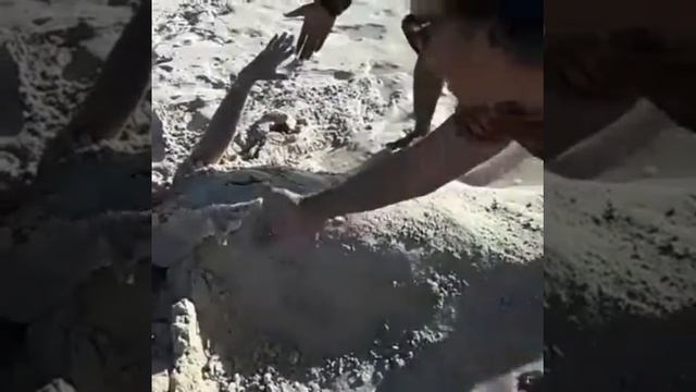 covered in sand