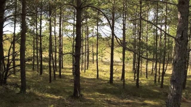 Видео к уроку литературного чтения