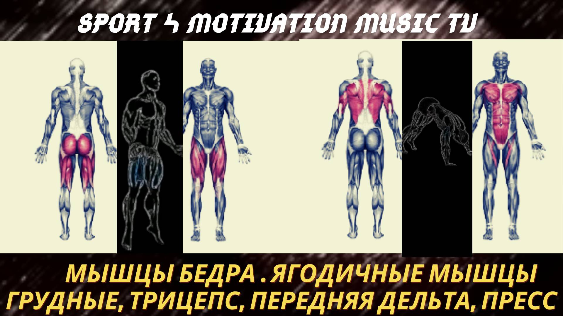 Армейские Отжимания.