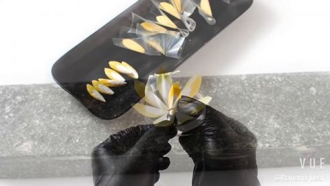 How to make Meringue Flower for Team Malaysia Coupe du Monde de la Patisserie Vegan Dessert