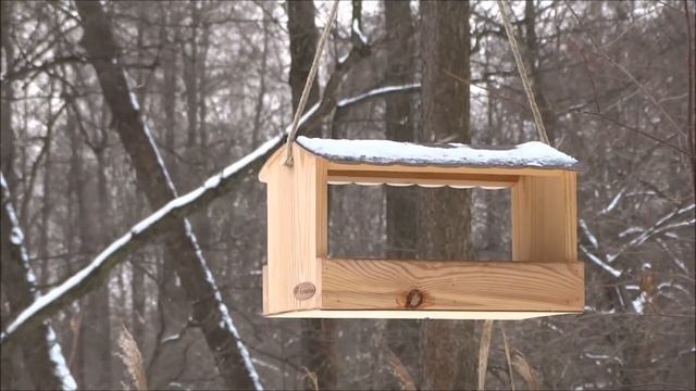 Измайловский парк, кормушка, декабрь 2016