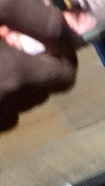 Мы с моей бро