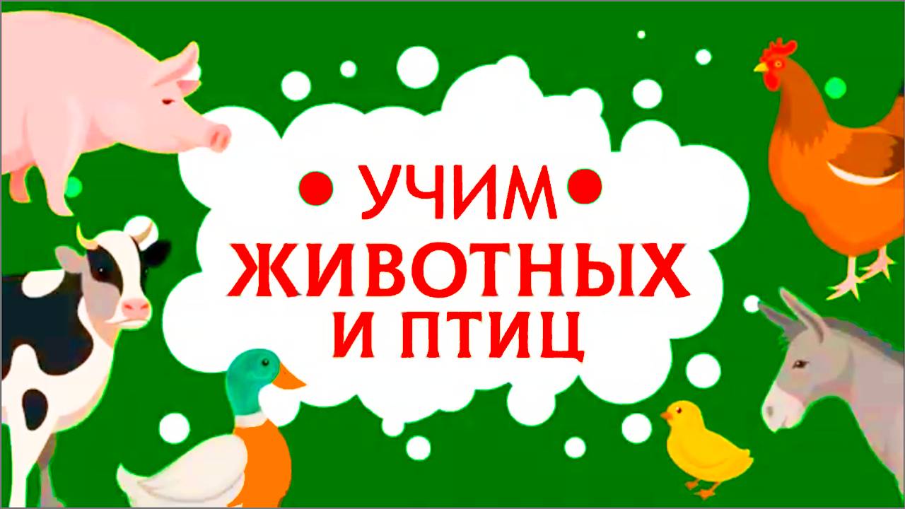 Учим Животных и Птиц - Развивающий мультик для детей - Познавательное видео для малышей