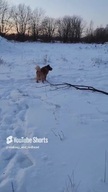 учит кувыркаться парня красотка хитропопая