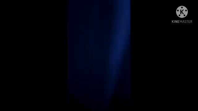 вночі кабан вийшов зі школи