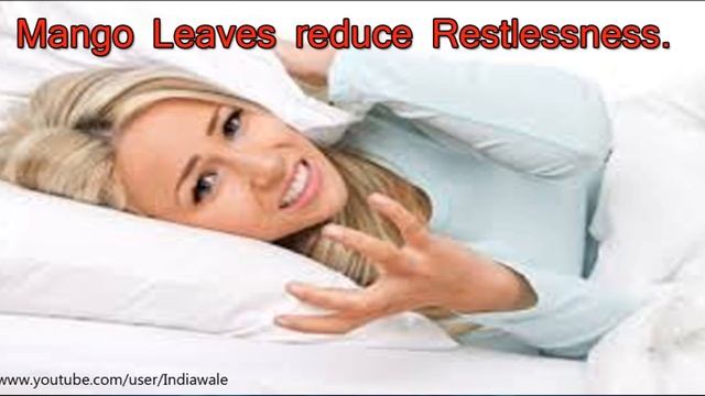 आम के पत्तो के फ़ायदे | health benefits of mango leaves for diabetes, Heart & Stomach