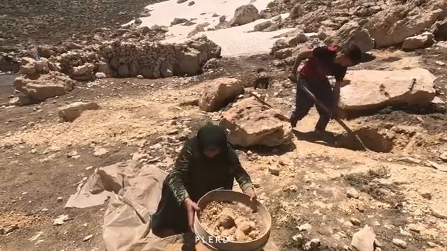 19.06.2023 Продолжаем строить традиционную баню в горах силами семьи кочевников