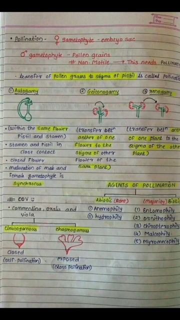 Class 12 Biology Chapter 2 SEXUAL REPRODUCTION IN PLANTS cbse board exam