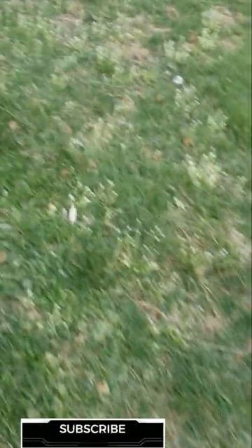 Tenacity Herbicide update