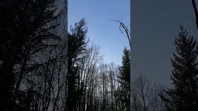 Ведём про́секу для коммуникаций 🤷🏻♂️
