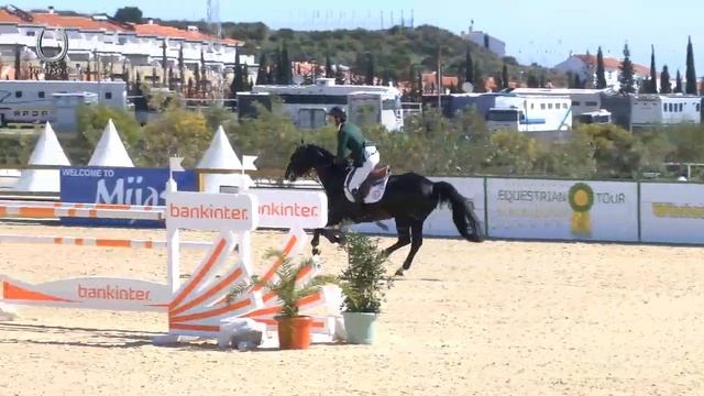 Vidar y santiago Núñez Riva ganan el GP del CSI** de Mijas el 8 de Marzo 2015