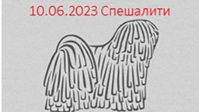 10.06.2023   Matthias Rex Kiraly Движение откр класс