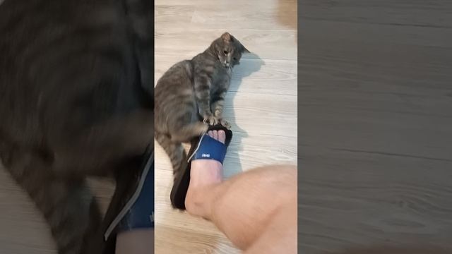 1000040423.mp4