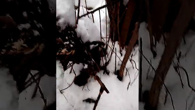 Страшный овраг 1 серия