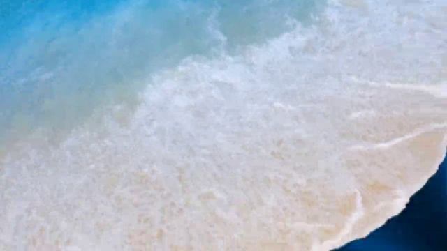 Мы и 🌊океан от Ларисы Полуяновой 08.01.24.