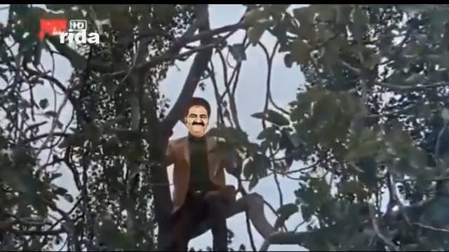 Sahin K- Salvar Davasi