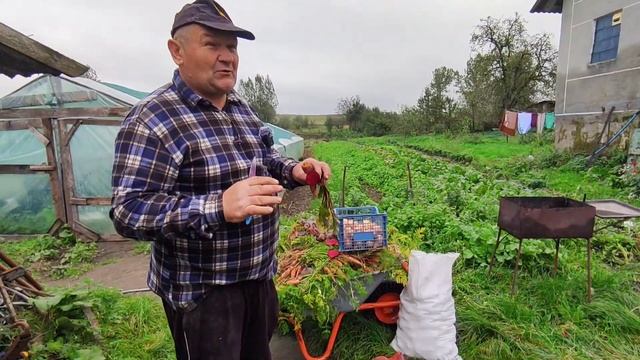 Зберігання овочів на зиму! Як вибрати якісні овочі?