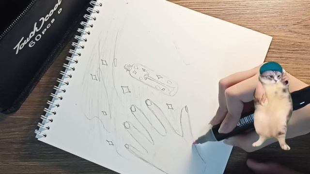 Я ВЕРНУЛАСЬ! спустя 2 года!  рисовалки с мемами про котов