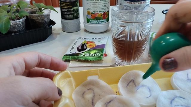 замачивание семян перца