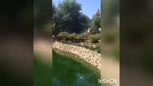Парк Лога Старая Станица Каменск-Шахтинский