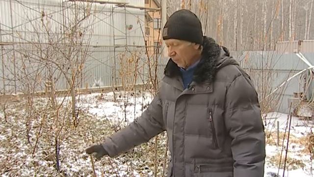 Снега Нет Лотенков