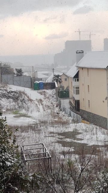 Сочи, первый снег
