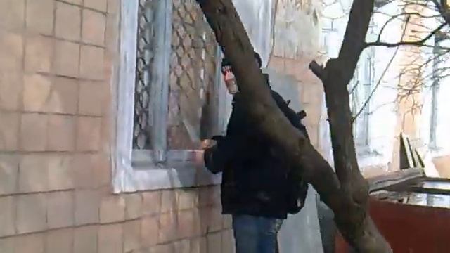 грызет стекло как чипсы