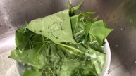 COMO COCINAR HOJAS 🍃 DE BATATA 🍠 CAMOTE