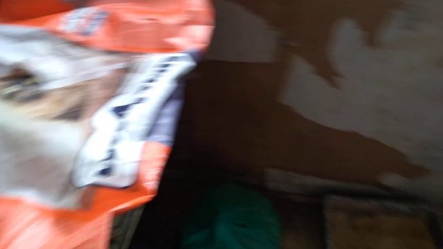 Котики Кошечка Мальва все прячется