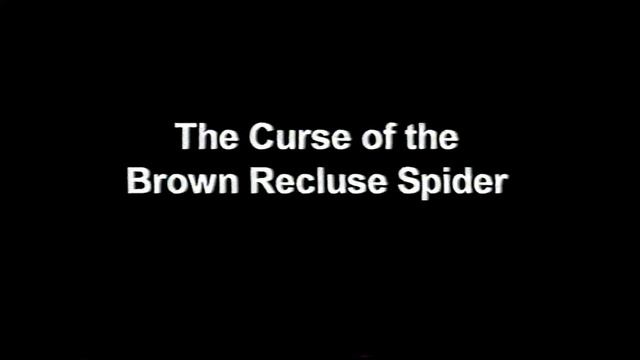 Curses of the Brown Recluse
