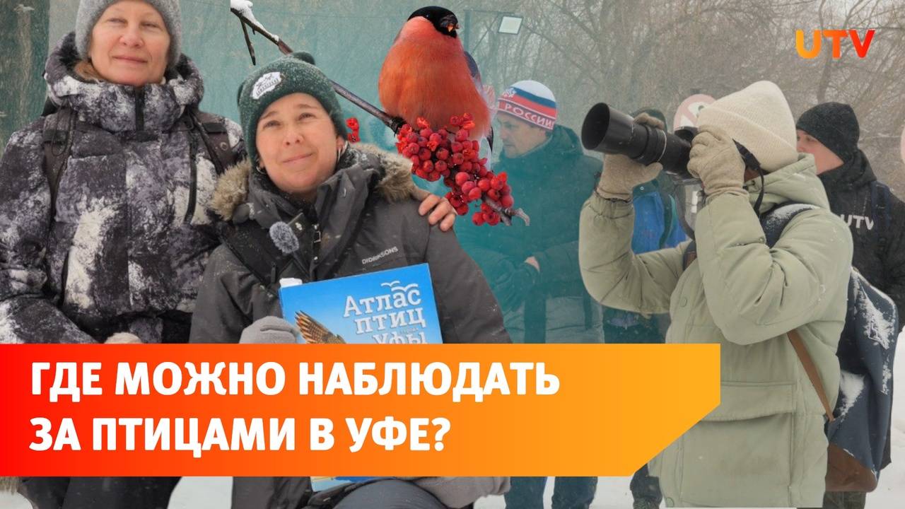 Десятки видов птиц в одном месте. Как стать бёрдвочером в Уфе?