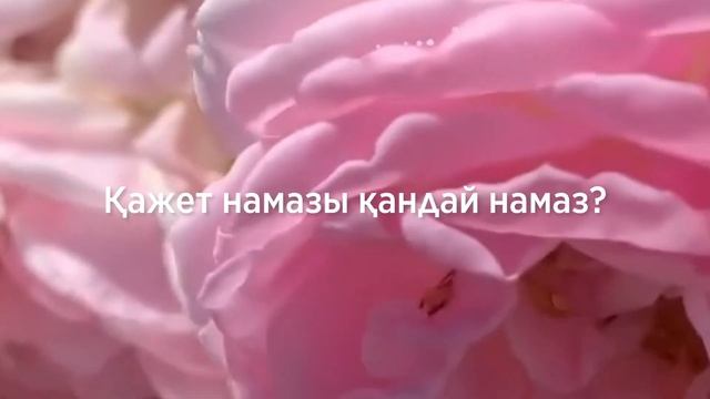 Қажет намазы дегеніміз не? қалай оқылады?