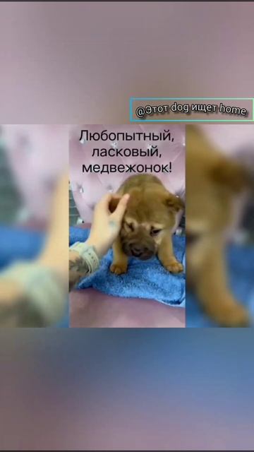 Маленькое сердце!