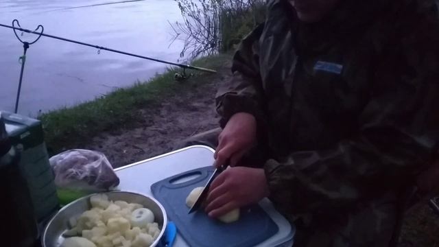 Рыбалка на донки. Нападение дикого зверя. Шикарные КАРАСИ.