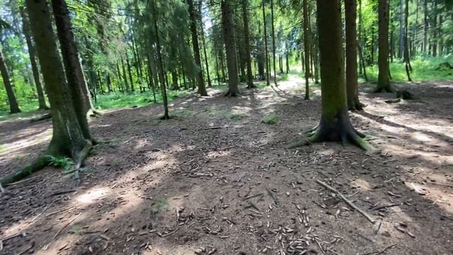 Прогулка по парку,СТАЯ БЕЛОК,ЭТО СЛУЧИЛОСЬ..шепот,успокаивающее видео,АСМР/ASMR