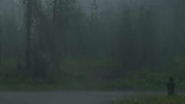 Погружение в дождливую погоду