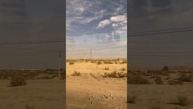 Пустыня саксаул провинция Язд