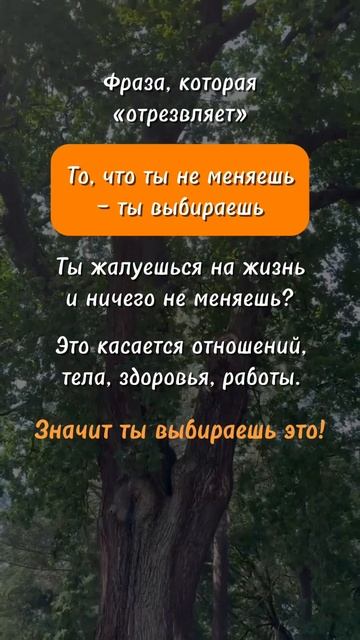 Выбирай!