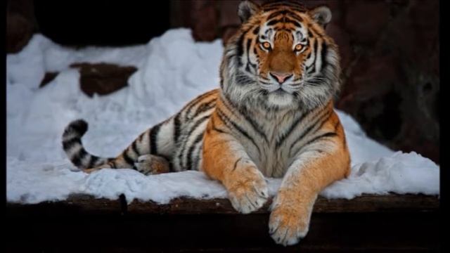 Мой фильм