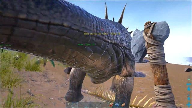 ARK Survival Evolved #8: Uma SELA PARA UM PTERANODON !!! VAMOS VOAR !!!