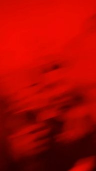 На концерте Олеже зимой 2024