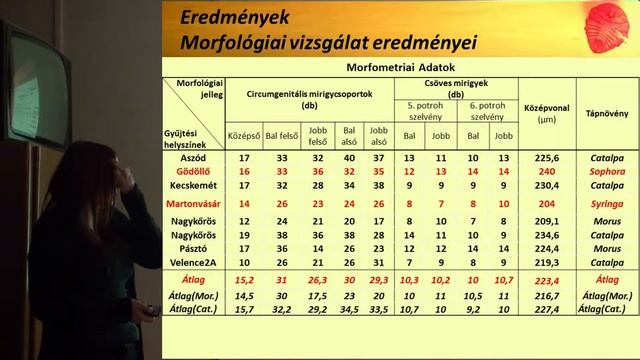 Sojnóczki Annamária morfológiai és molekuláris összehasonlító vizsgálata