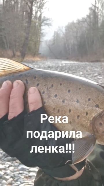Ленок на горной реке! 😁