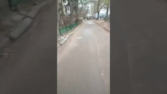 Провожала до подьезда