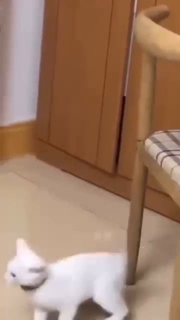 Неожиданно😂