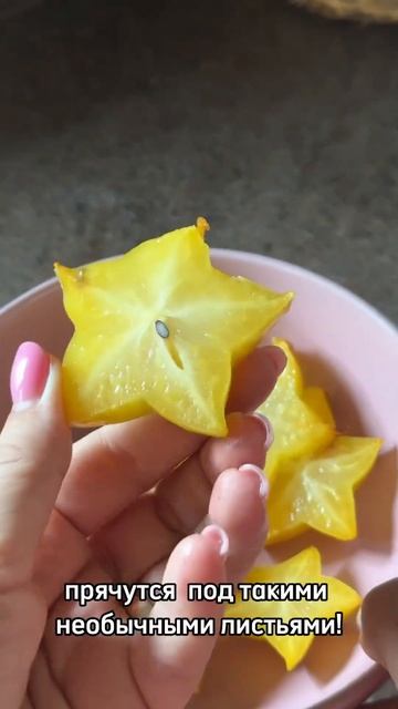 ВИДЕЛИ? #таиланд #таиланд2023 #экзотика #чтоэтотакое #фрукты #тайскаяеда #сады