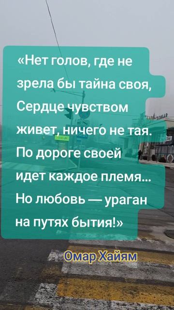 Путешествия
