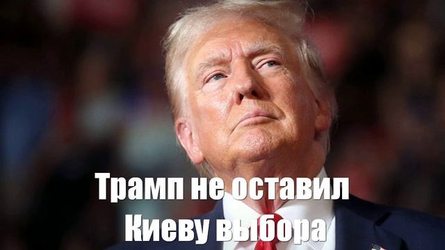 Трамп не оставил Киеву выбора