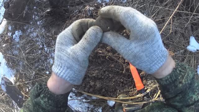 Поиск в новой деревне с Minelab X-TERRA ELITE Expedition